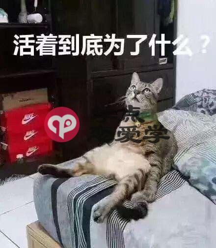 什么是情商高的表现,只看和女生聊天第一句你就懂了